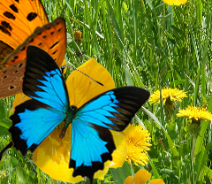 車載LED廣告顯示屏價格多少錢？常用分類有哪些