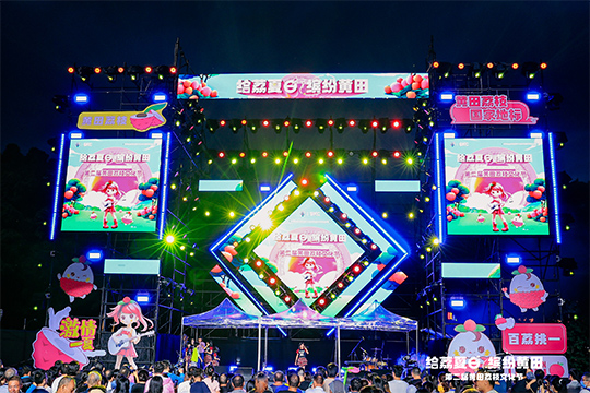 黃田荔枝火出圈！“文化+藝術(shù)”賦能農(nóng)產(chǎn)品綻放新光彩